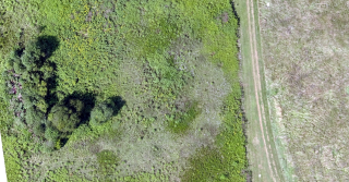 Example of true-color image taken from UAV