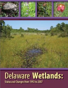 Wetlands report cover