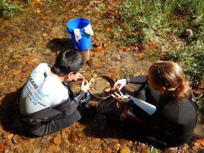 Researchers processing mussels in the field