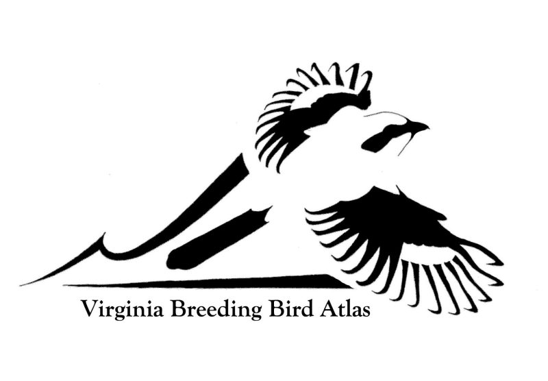 logo shows stylized Loggerhead Shrike over outline of the state of Virginia