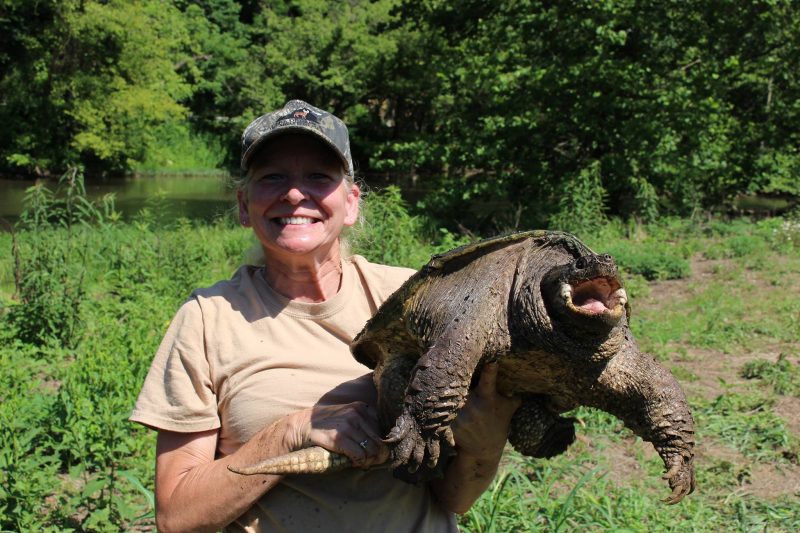 picture of CMI's Amy Roberts with snapping turtle