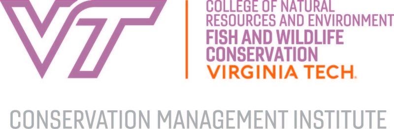 CMI logo