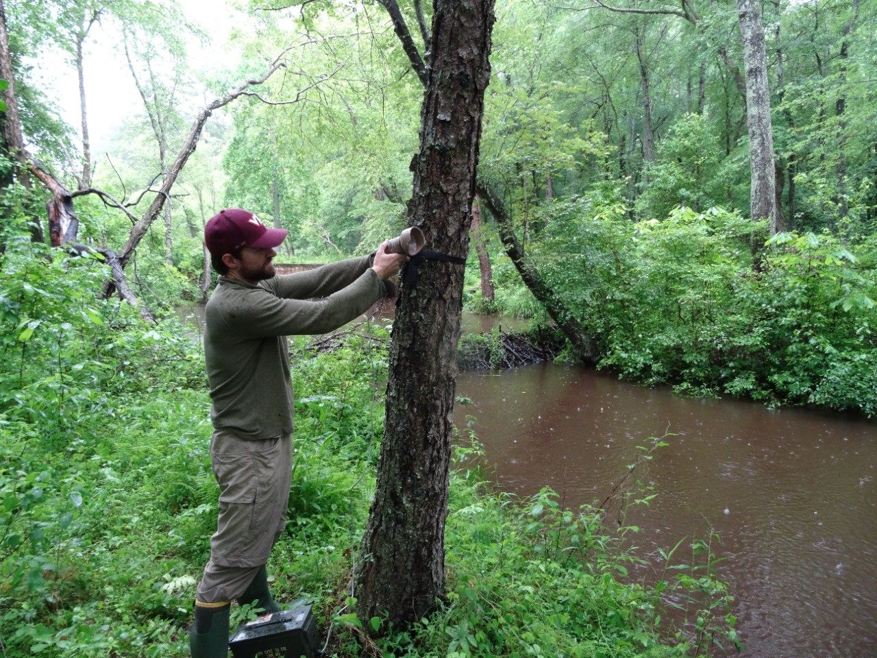 Nick Kalen installing a bat detector along a stream
