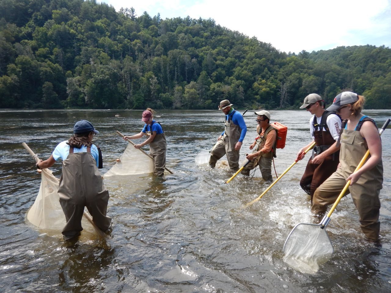 Fish sampling